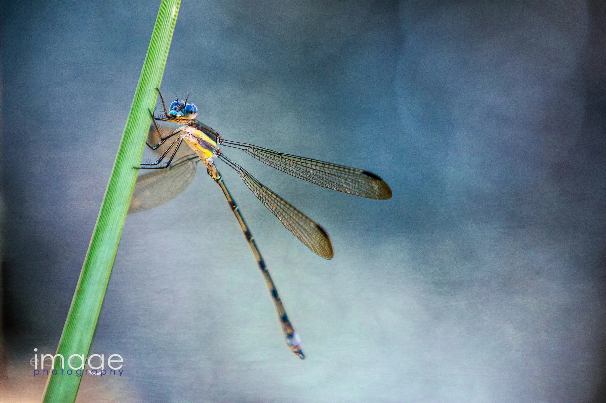 Agile Flier