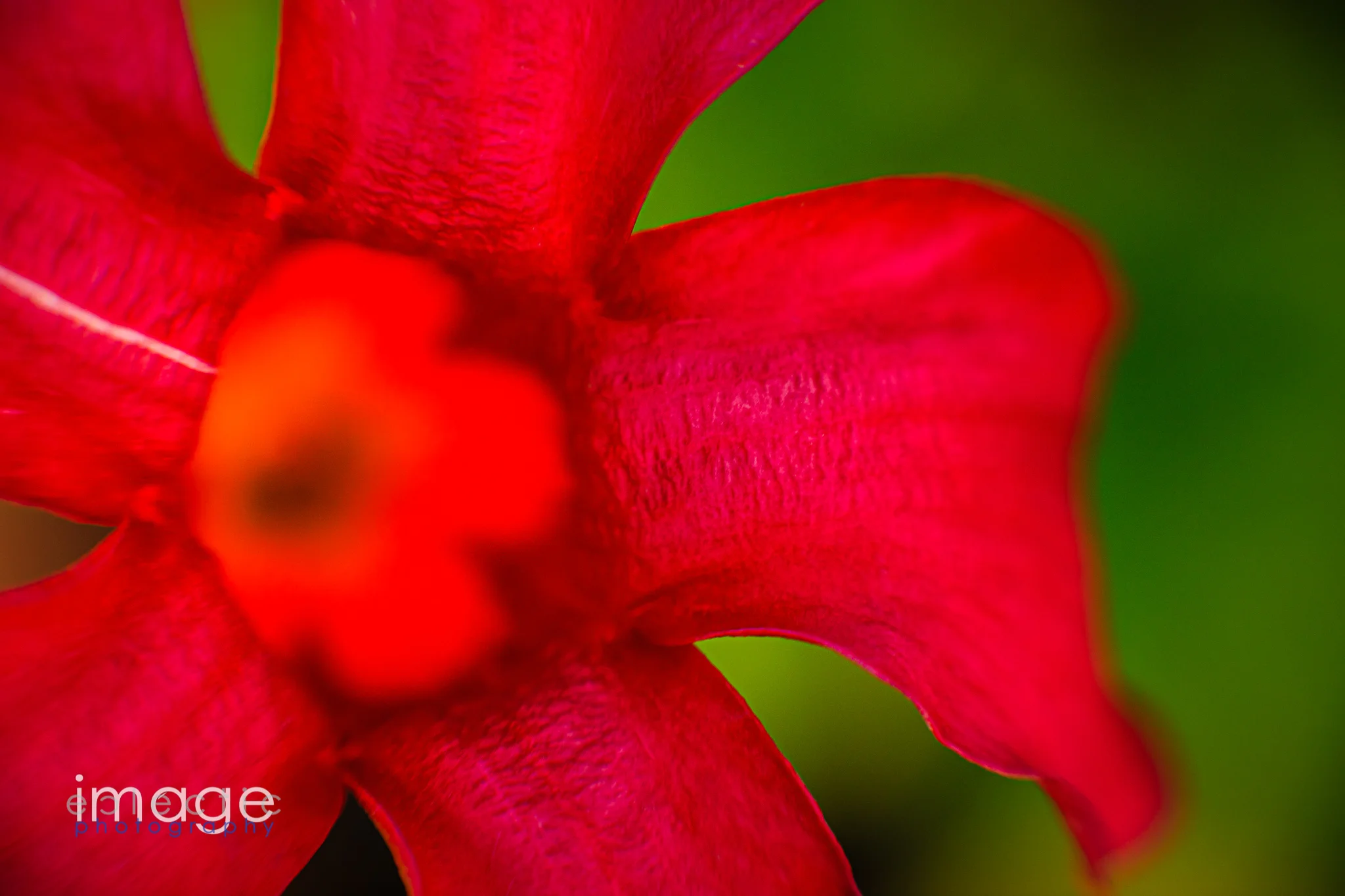 imageclectic-One of These Things.jpg