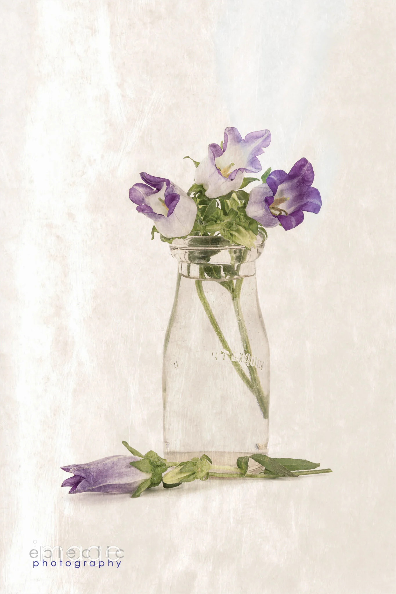 Bottle Flowers