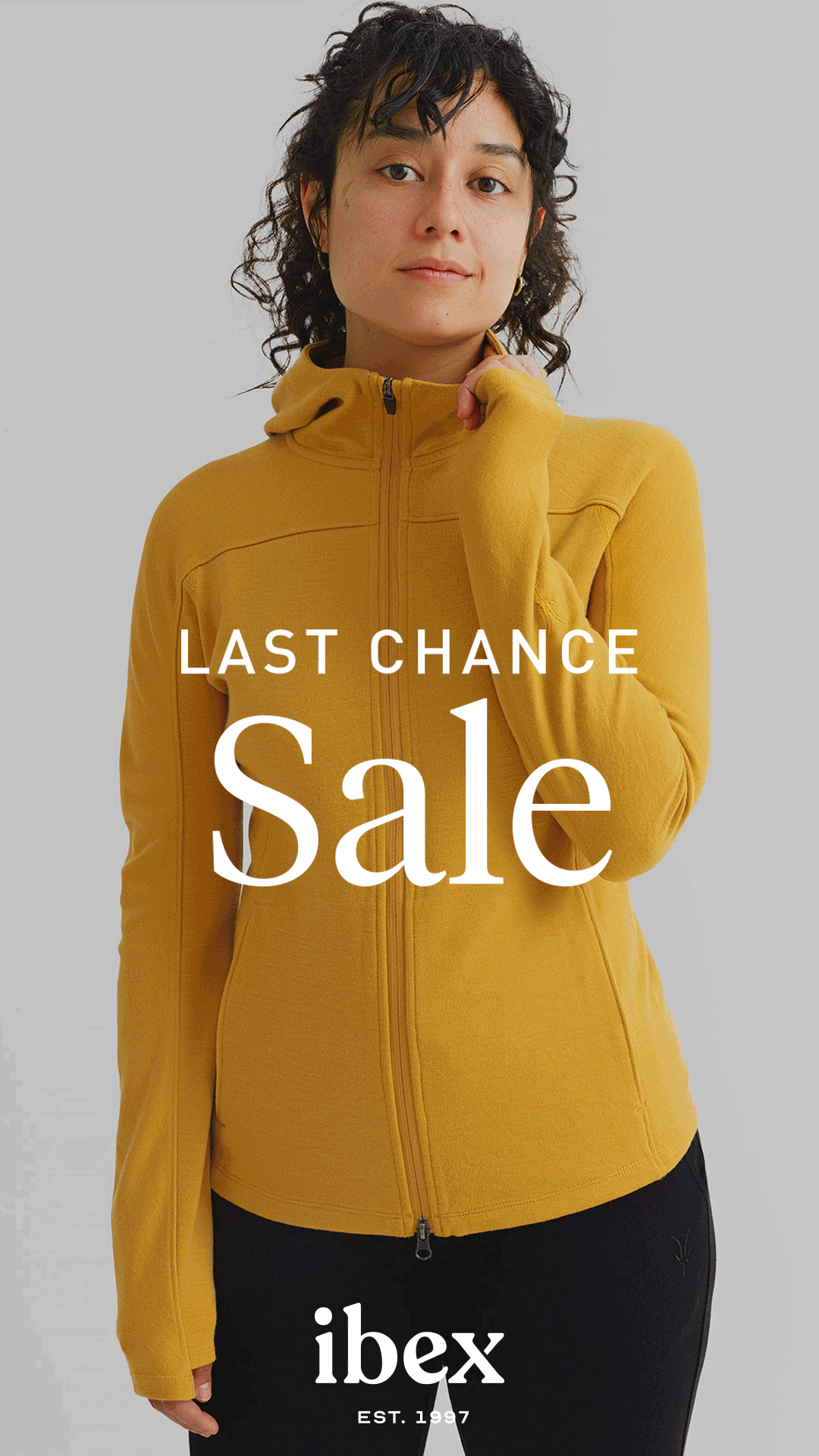 Last-Chance-Sale_Story.gif