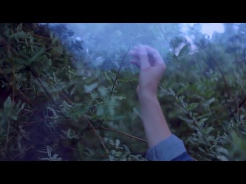 Memoryhouse - Soft Hate [FULL ALBUM STREAM]