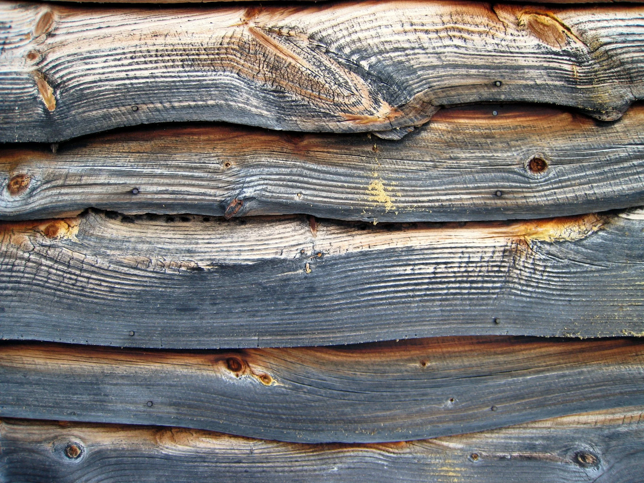 siding_1114502405_o (1).jpg