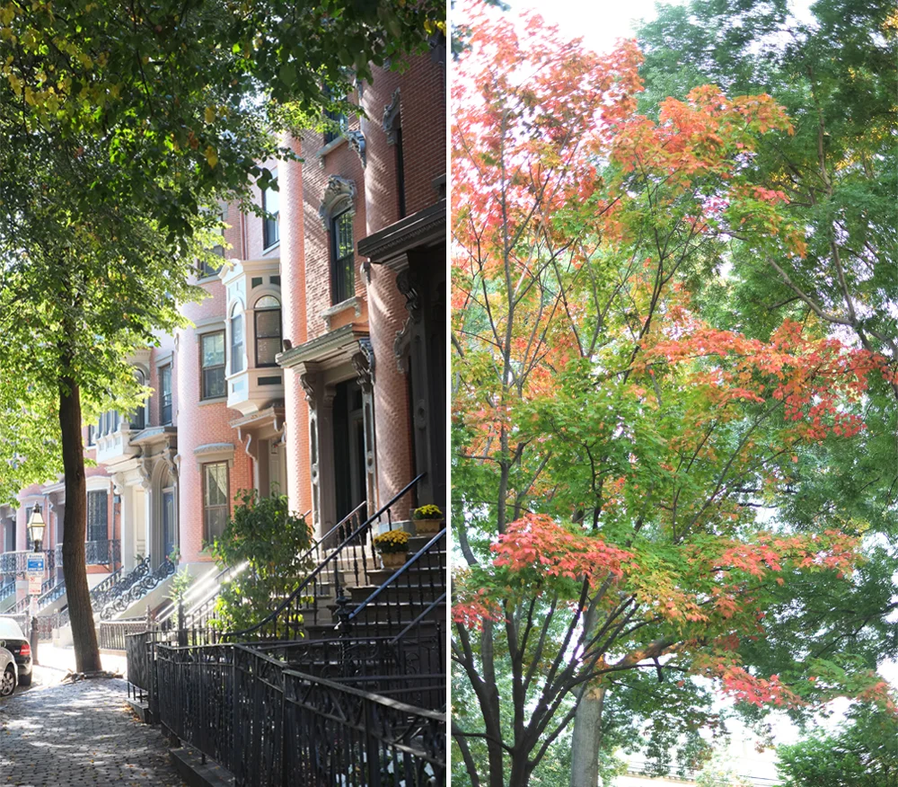 South End