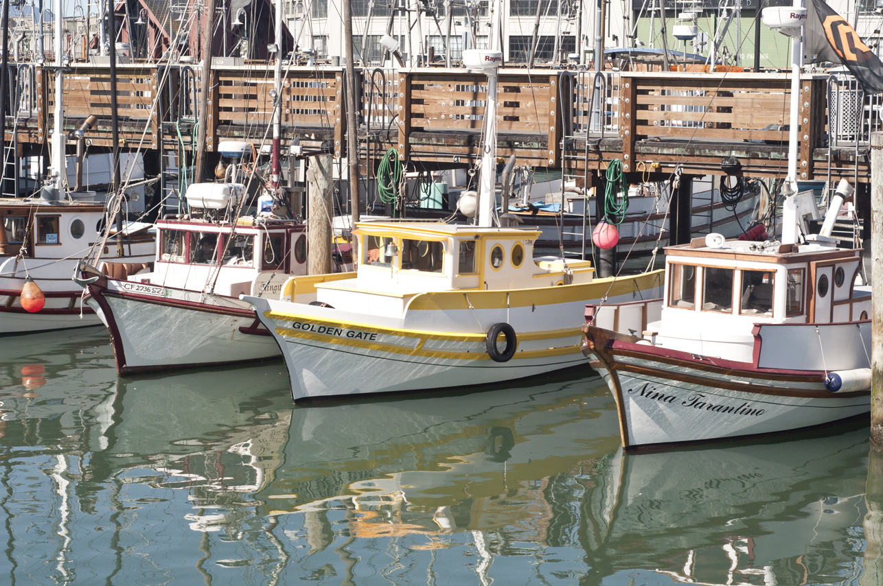 Dock on The Embarcadero