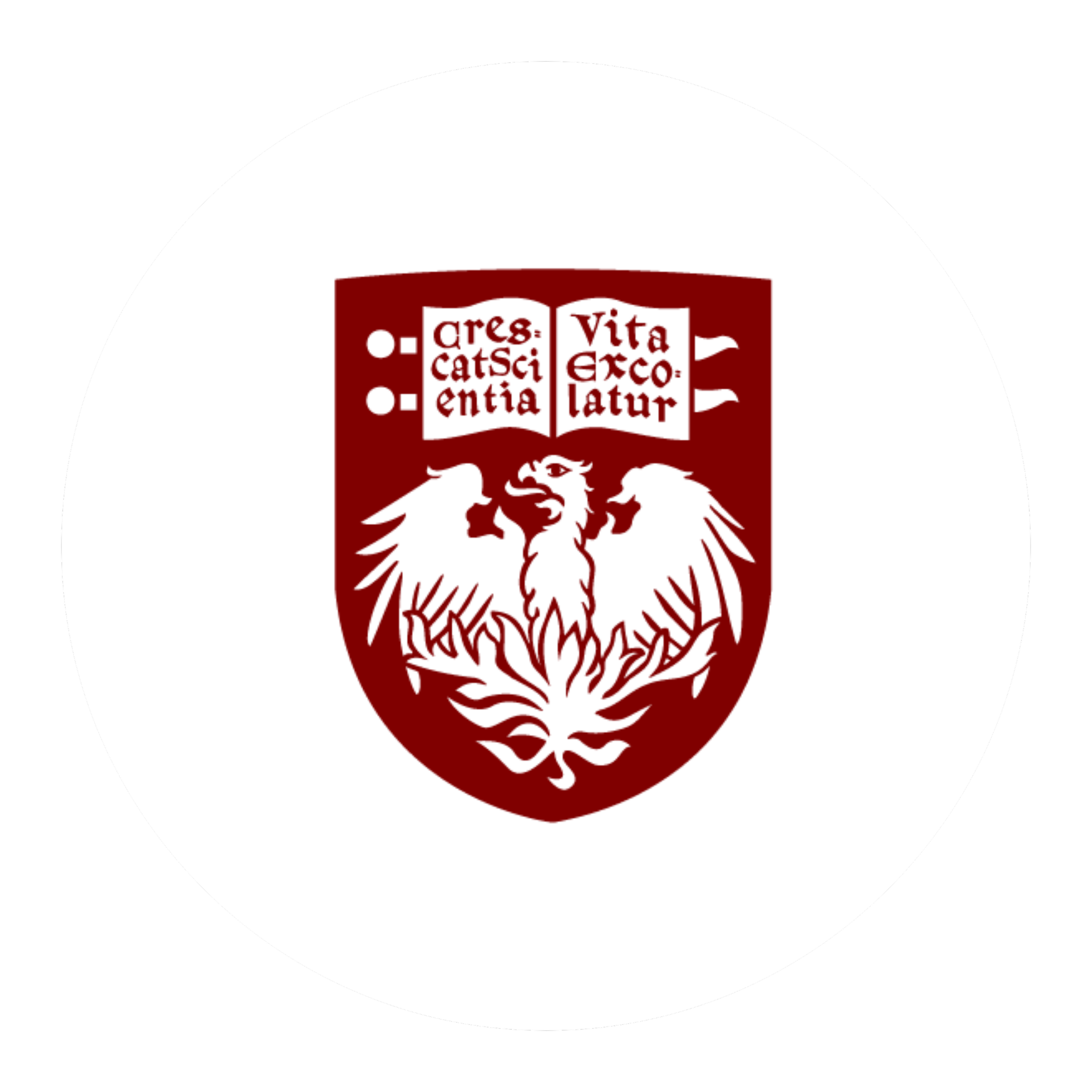 NYC Campus Logos (4).png