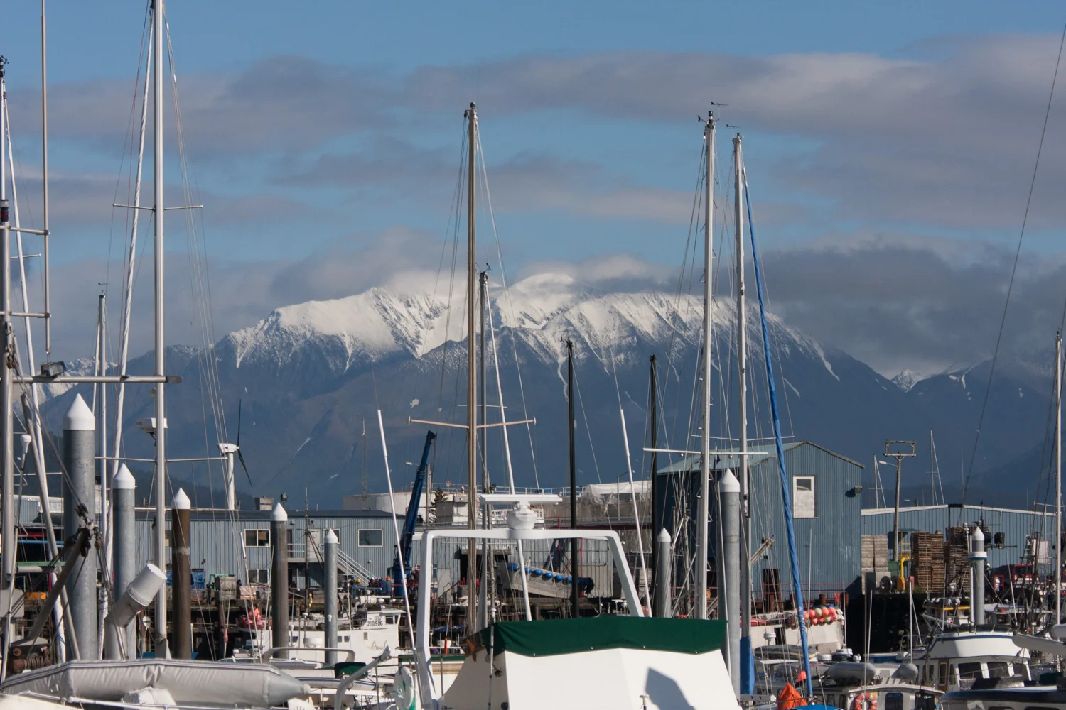 IMG_7632.jpg
