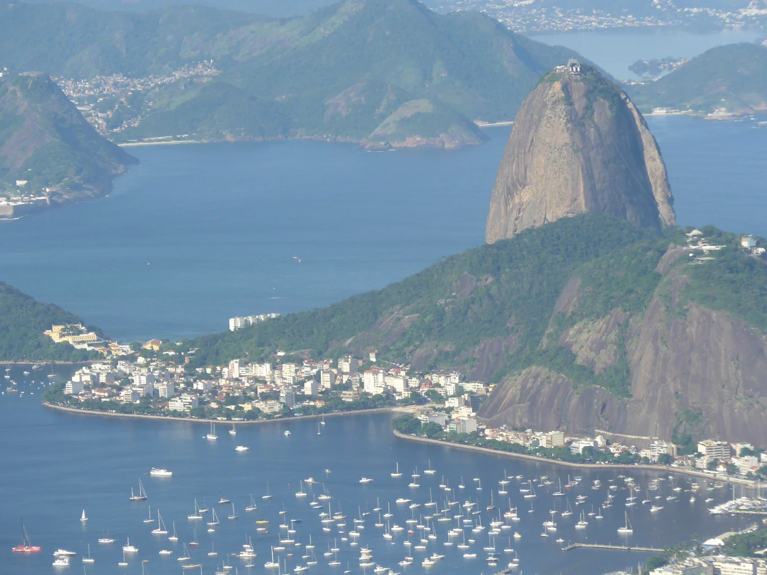 P1000620.jpg