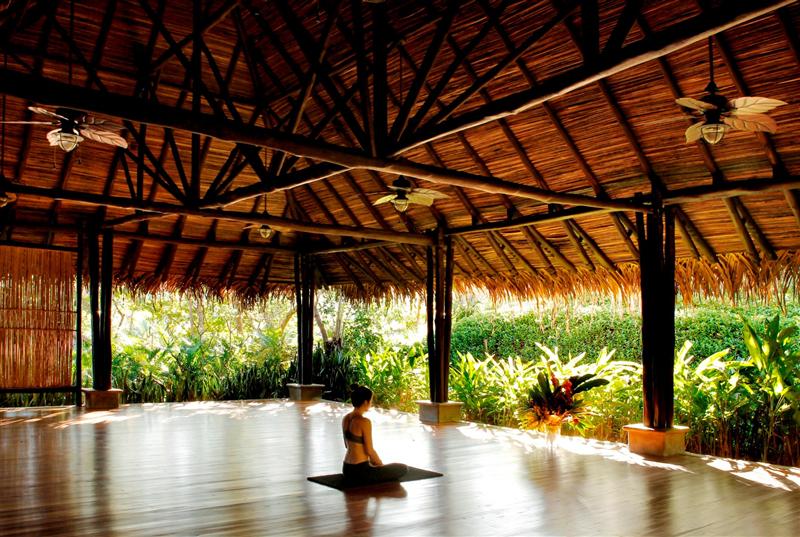 Jungle_Meditation.jpg