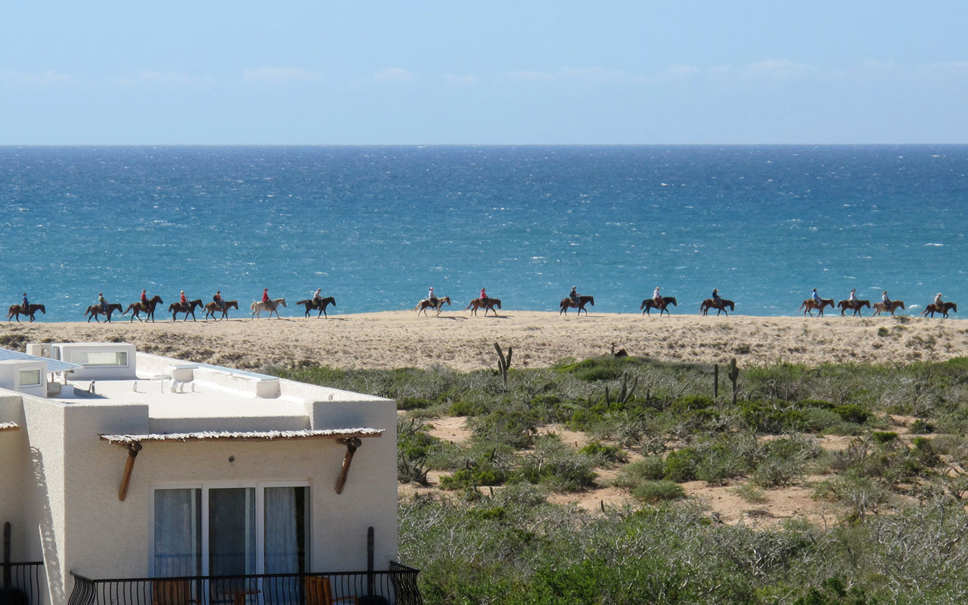 horses_beach.jpg