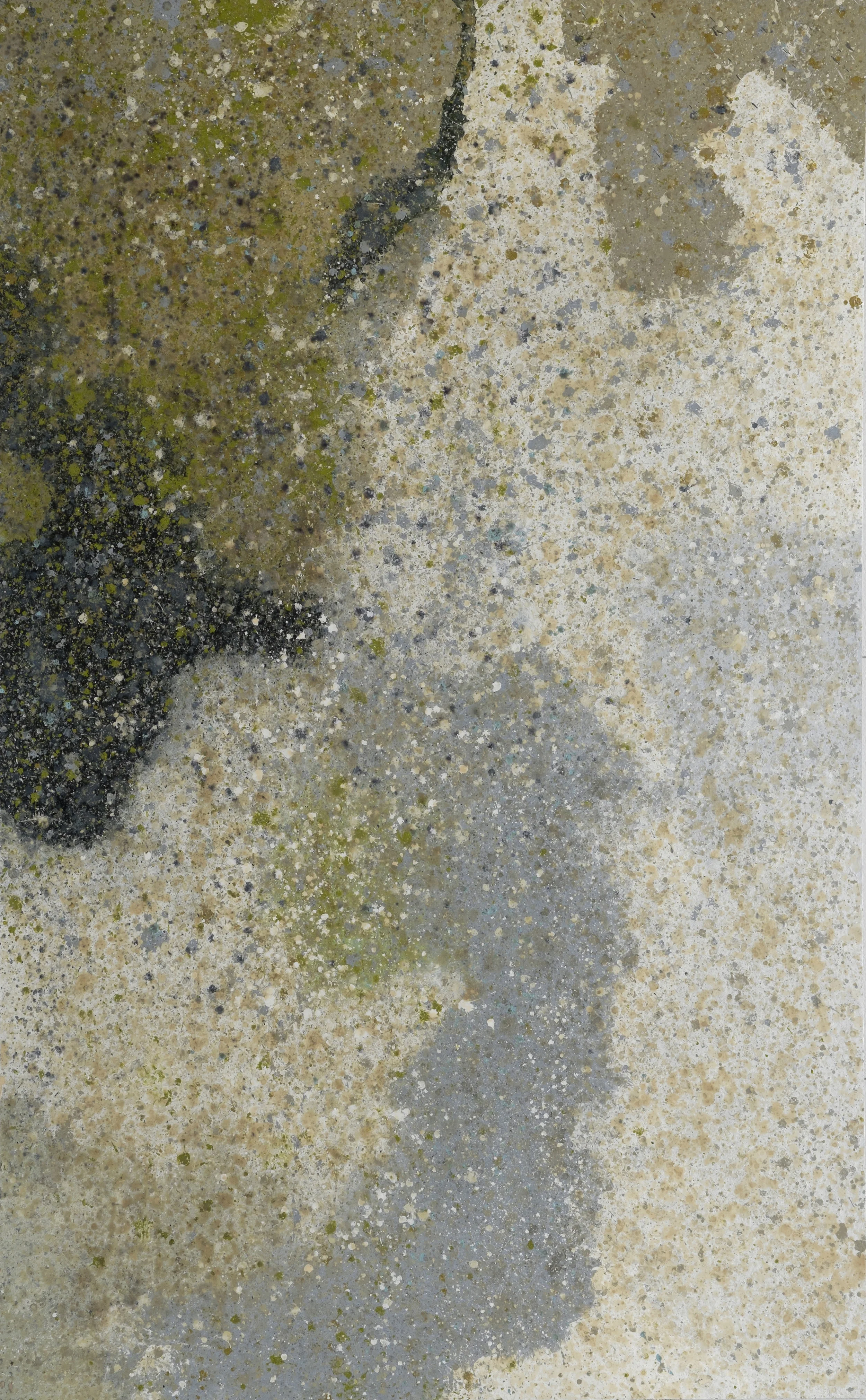 Insight - Cowichan Shallows: Composition 1.04 Acrylic Polymer on mounted oak panel, 48 x 77 in., 2015-2016