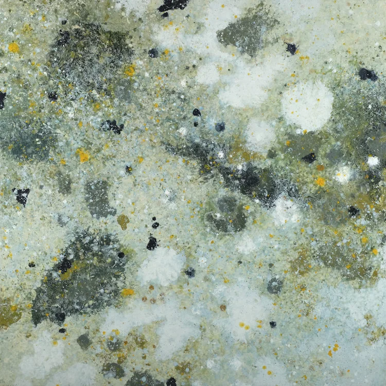 Insight - Shallows: Composition 1.04 Acrylic polymer on mounted oak panel, 48 x 48 in., 2010-2014 SOLD