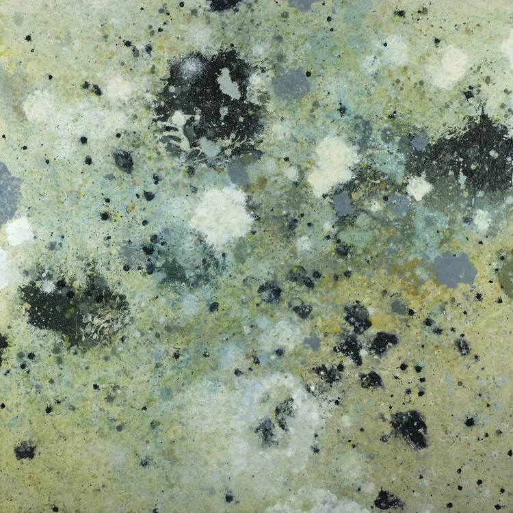 Insight - Shallows 1.02 Acrylic polymer on mounted oak panel, 48 x 48 in., 2010-2014