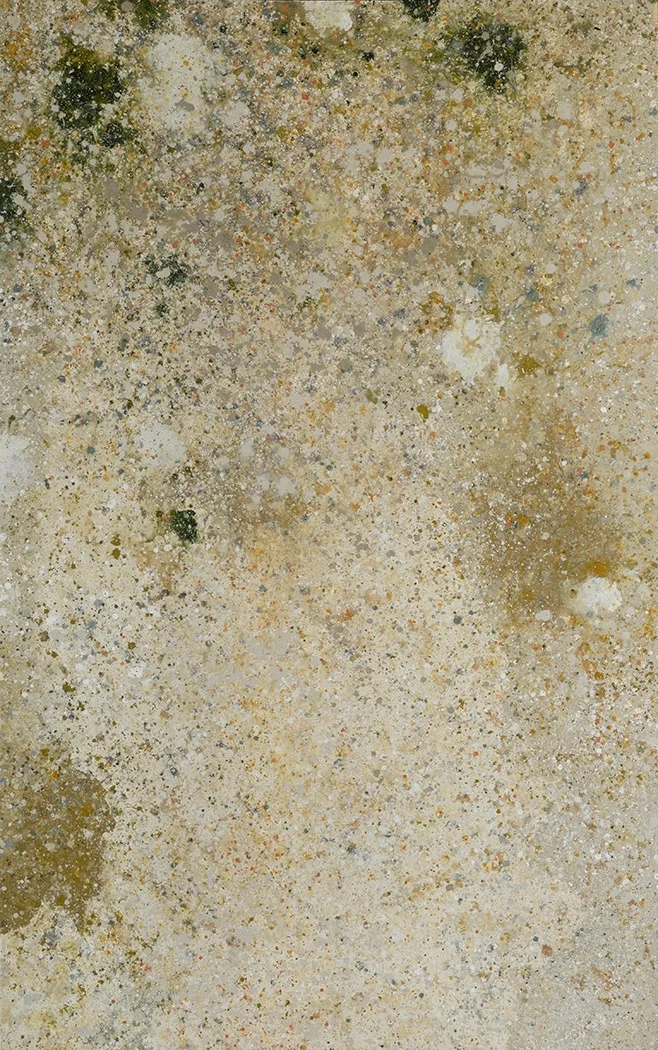 Insight - Cowichan Shallows: Composition 1.01 Acrylic Polymer on mounted oak panel, 48 x 77 in., 2015-2016
