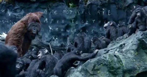 The Great Apes have brains and brawn aplenty.