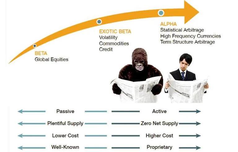 A spectrum of return sources: from Bet a to Exotic Beta to Alpha ; it's all about having the right tools and knowing where to look.