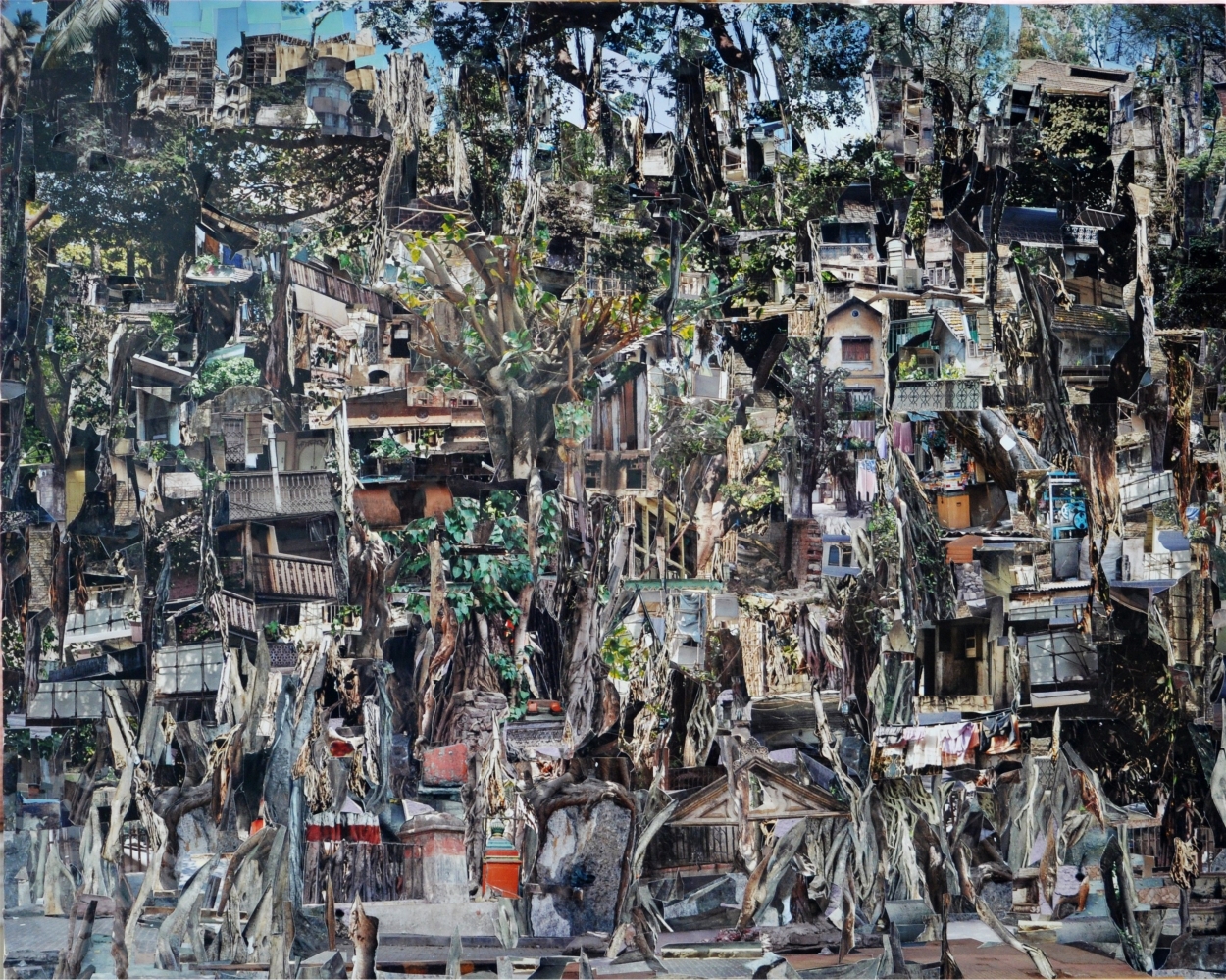 Banyan Trees (Trees of Bombay)