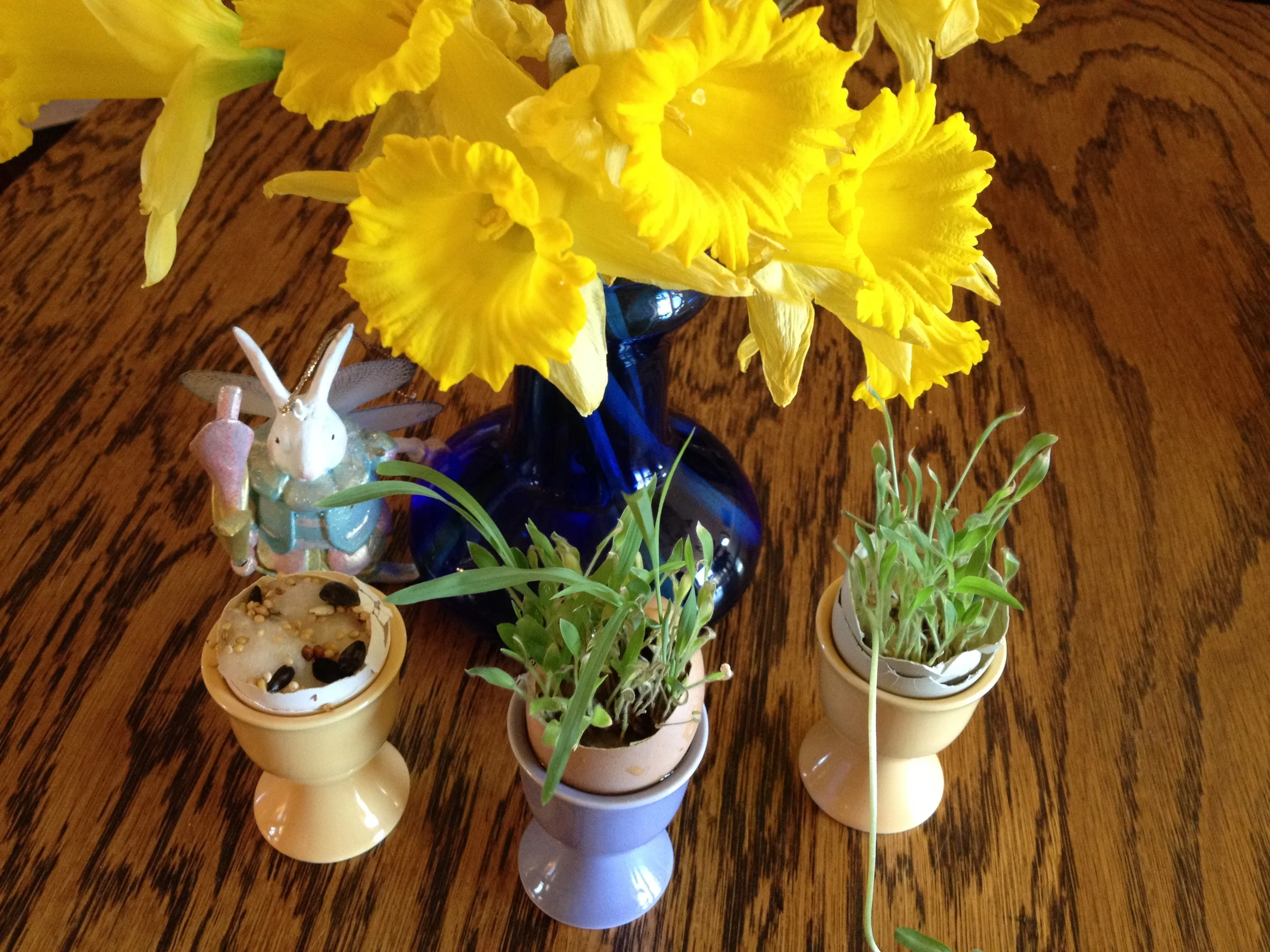 Easter Egg Garden.jpeg