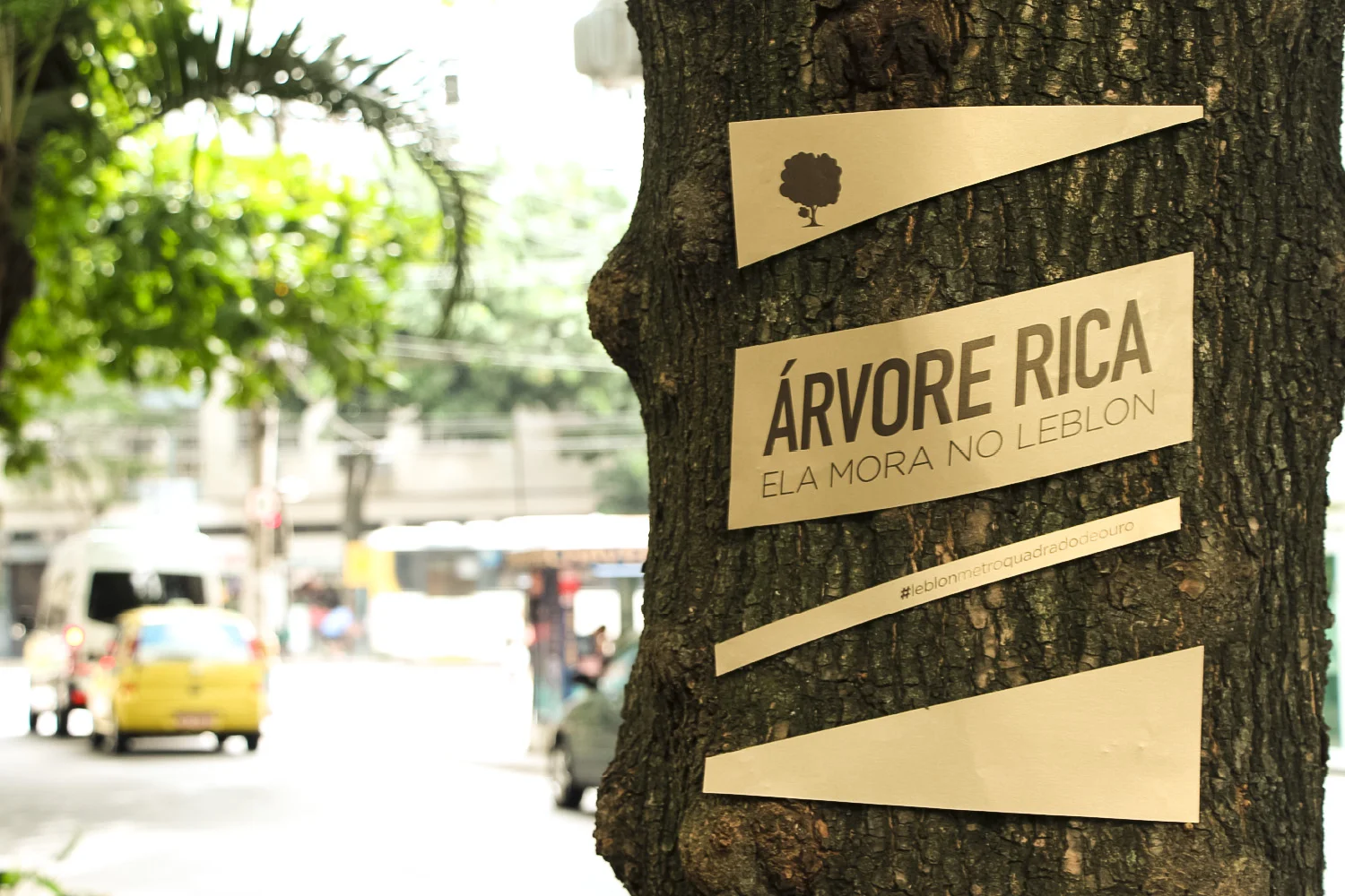 Rich Tree . It lives in Leblon.