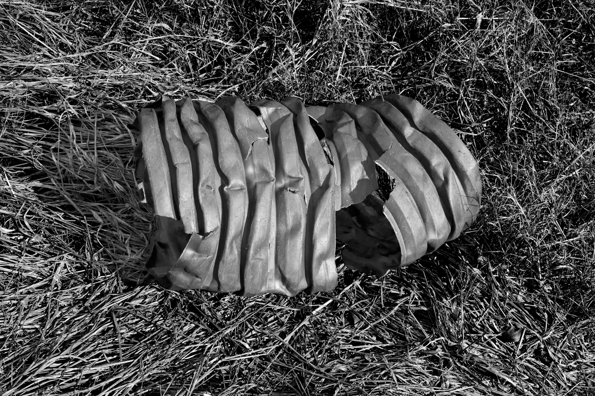 Shaler 16" x 24" Archival Pigment Print, 2013