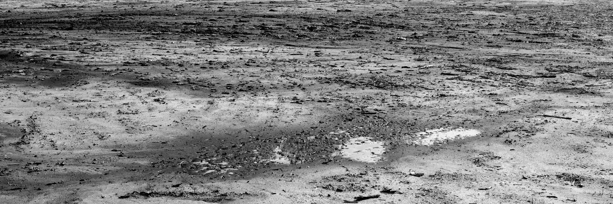 View from ‘Rocknest’ Position 16" x 24" Archival Pigment Print, 2013