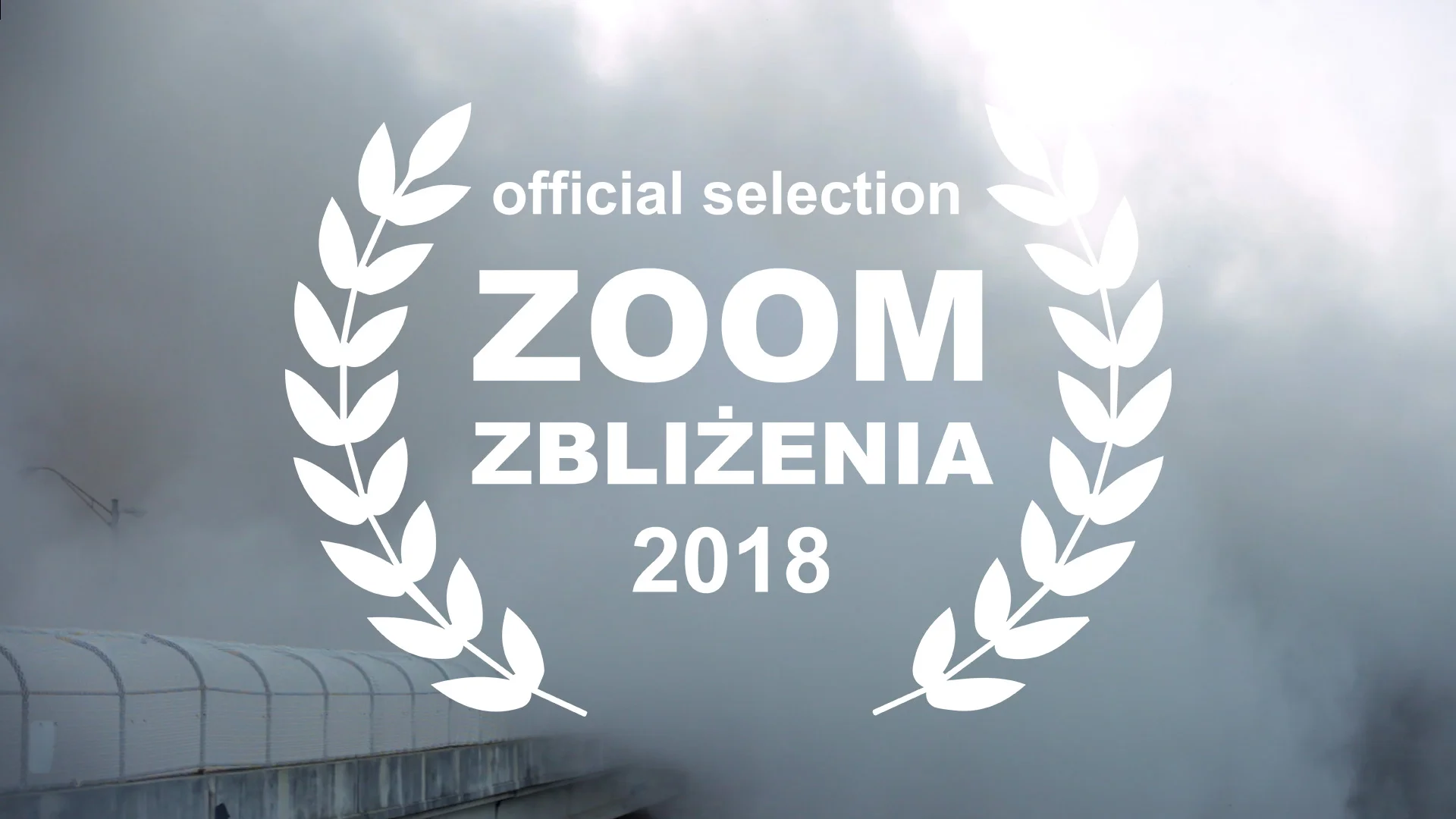 International Film Festival: ZOOM - ZBLIŻENIA