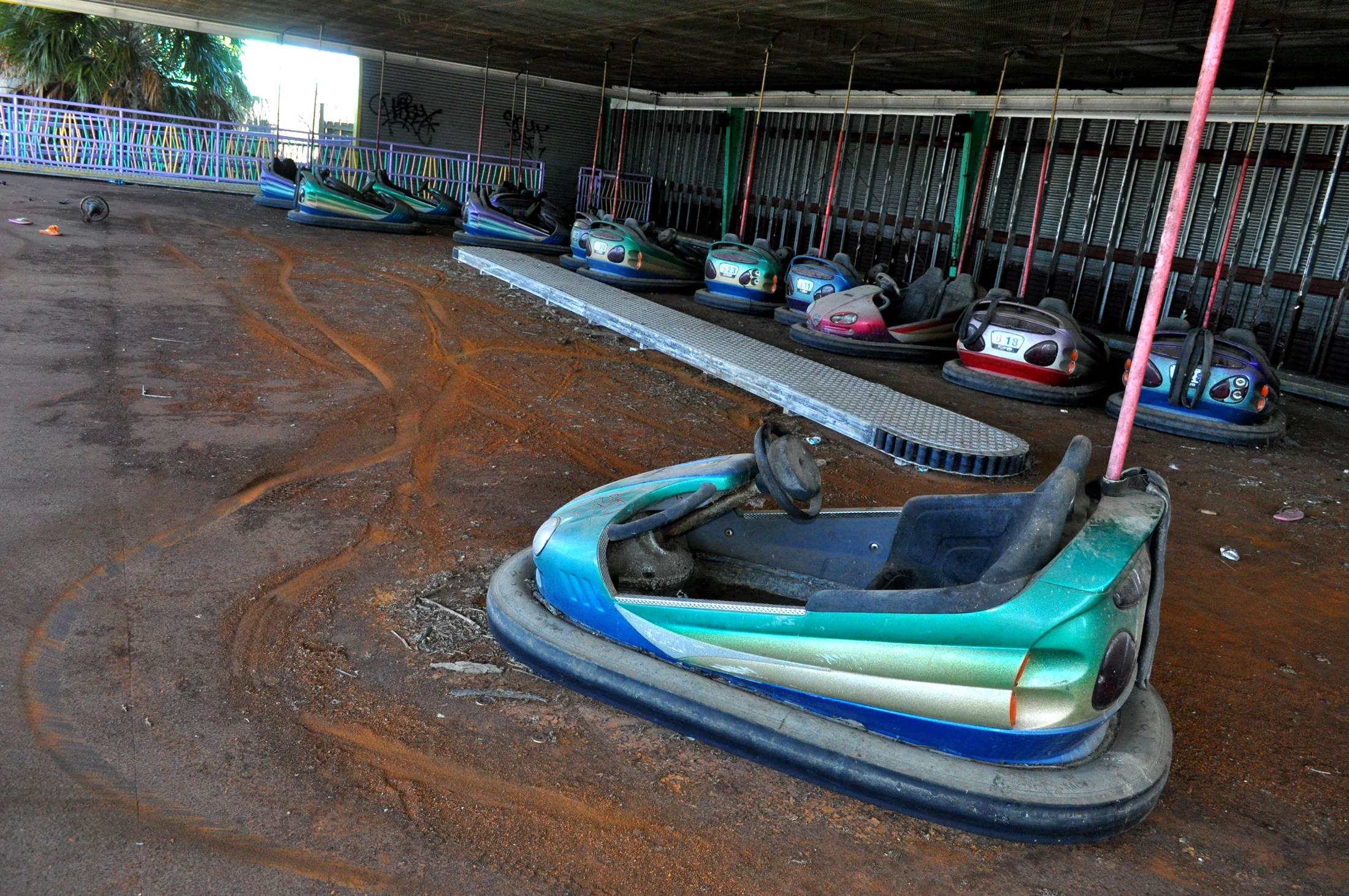 bumpercars.jpg