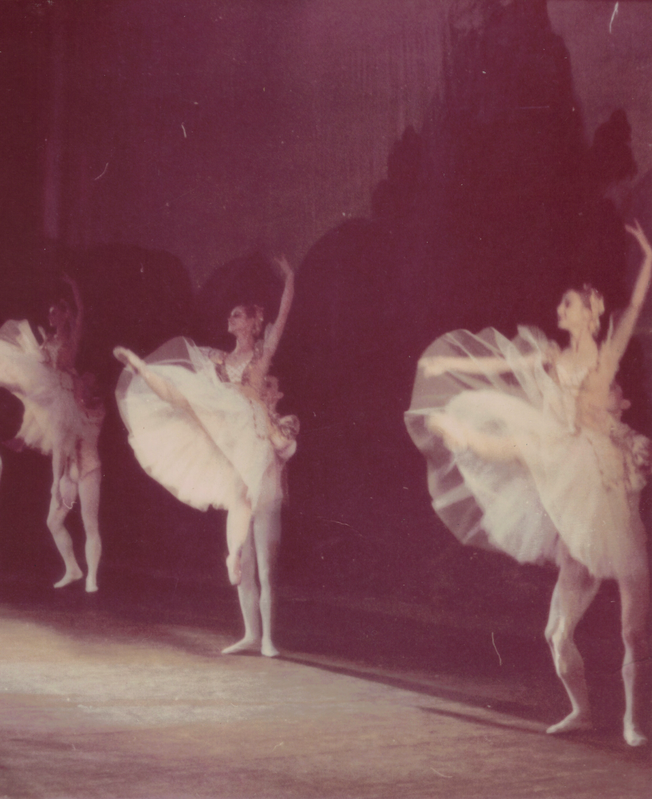  Fragment from "Swan Lake" Act I. 