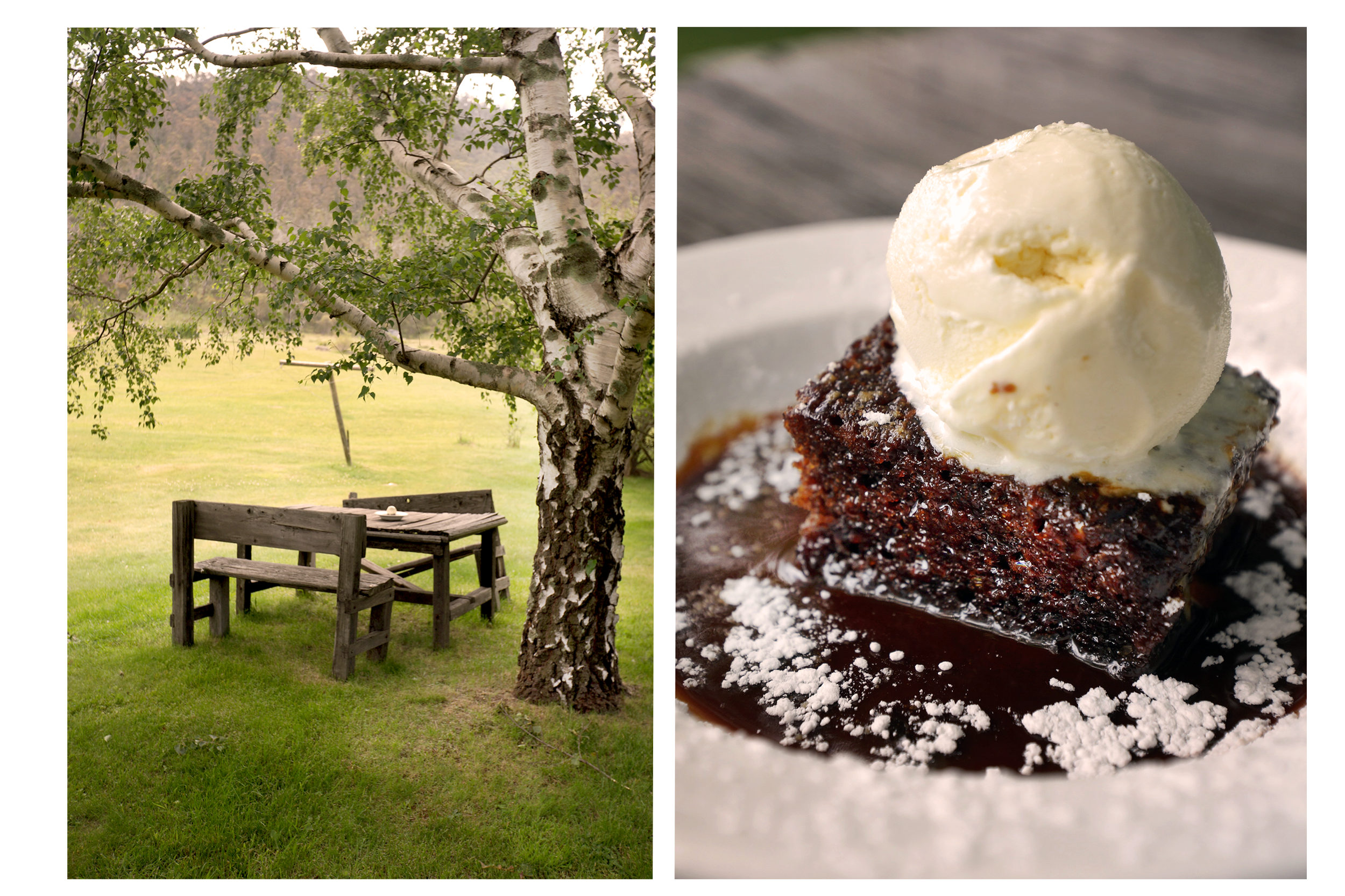 Chocolate pudding under a tree at Crackenback Farm