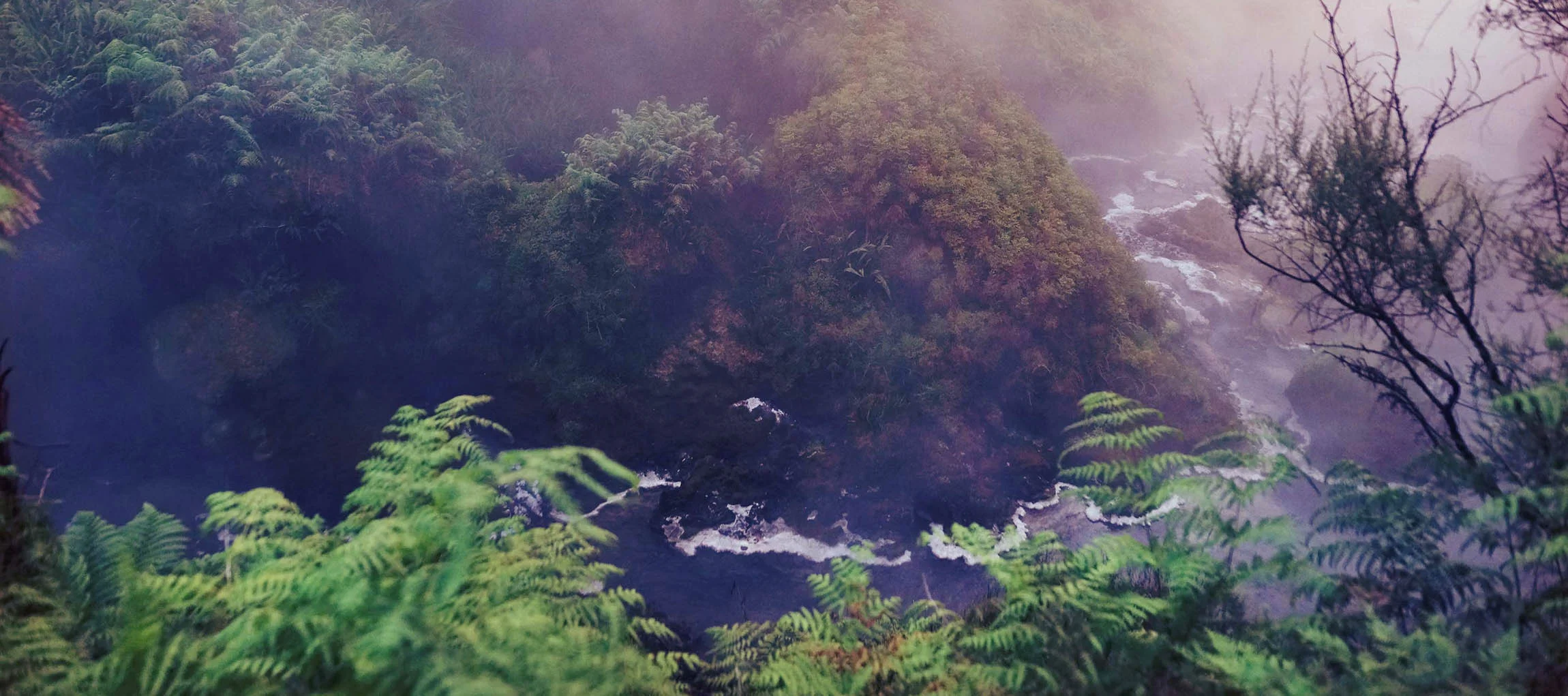 misty-creek-.jpg