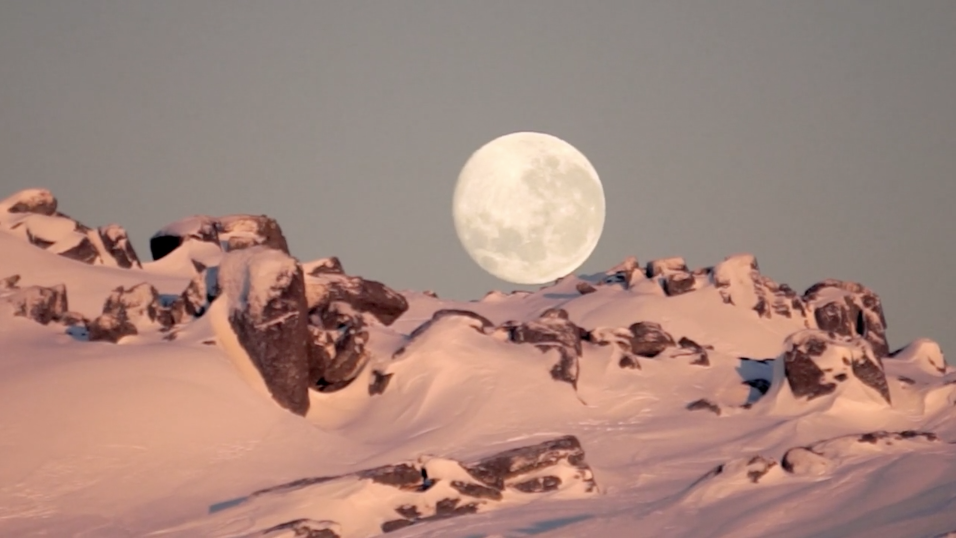 Screen Shot 2017-04-12 at 2.04.39 pm.png