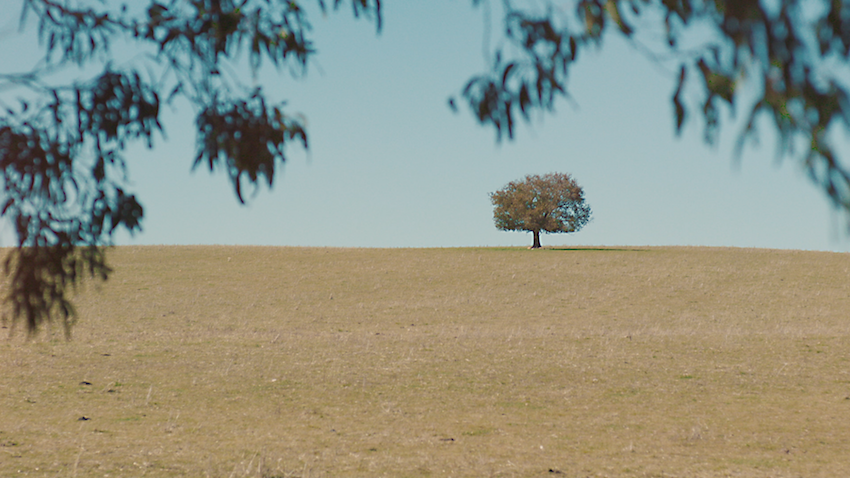 Wander in Hilltops region