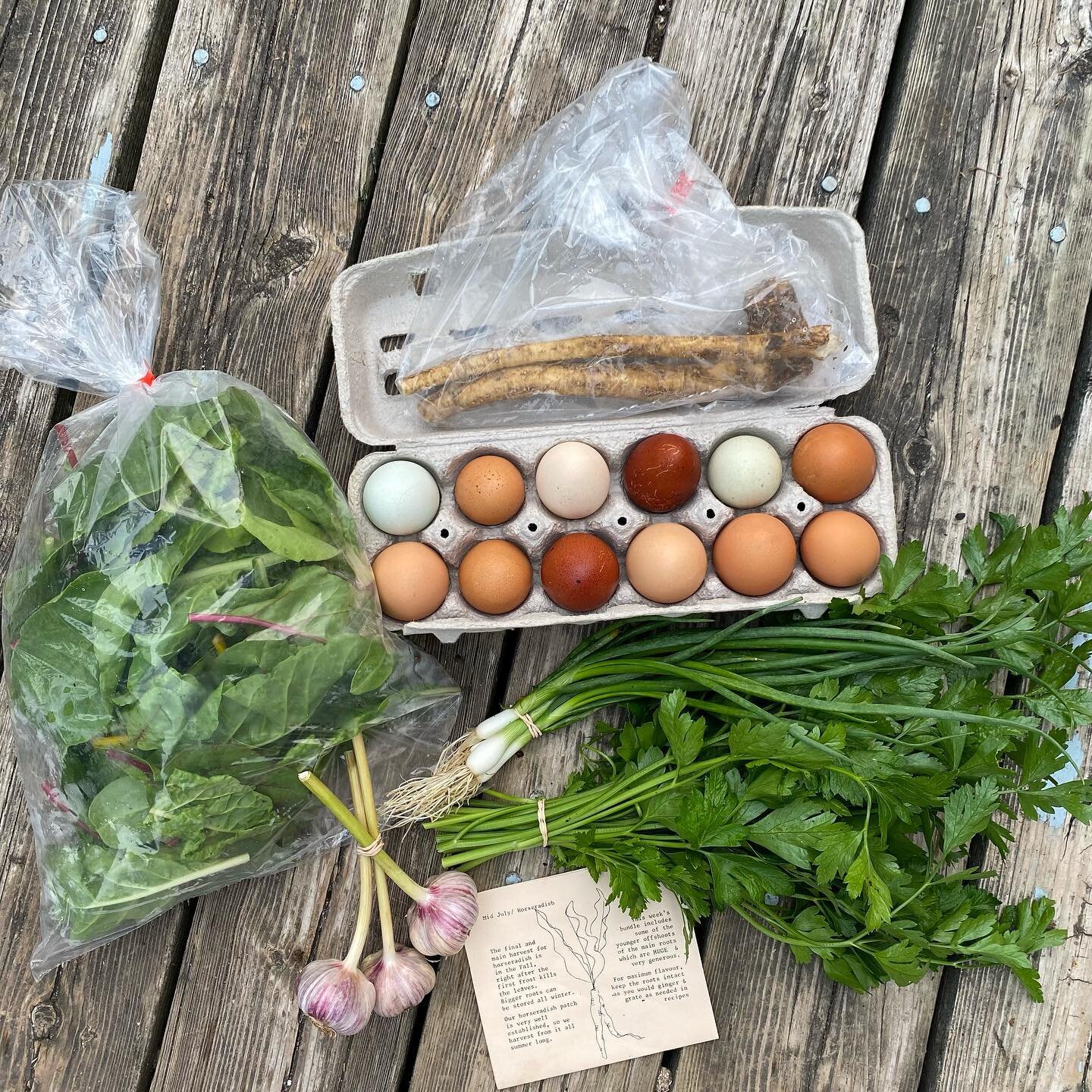 New small spade CSA session open now! Canned Heat CSA - Aug. 9 to Sept. 27, home delivery of eggs and veg (and maybe a zine or two) to GTA. For info and to sign up go to the link in bio! #csasignup #csafarm #smallspadefarm