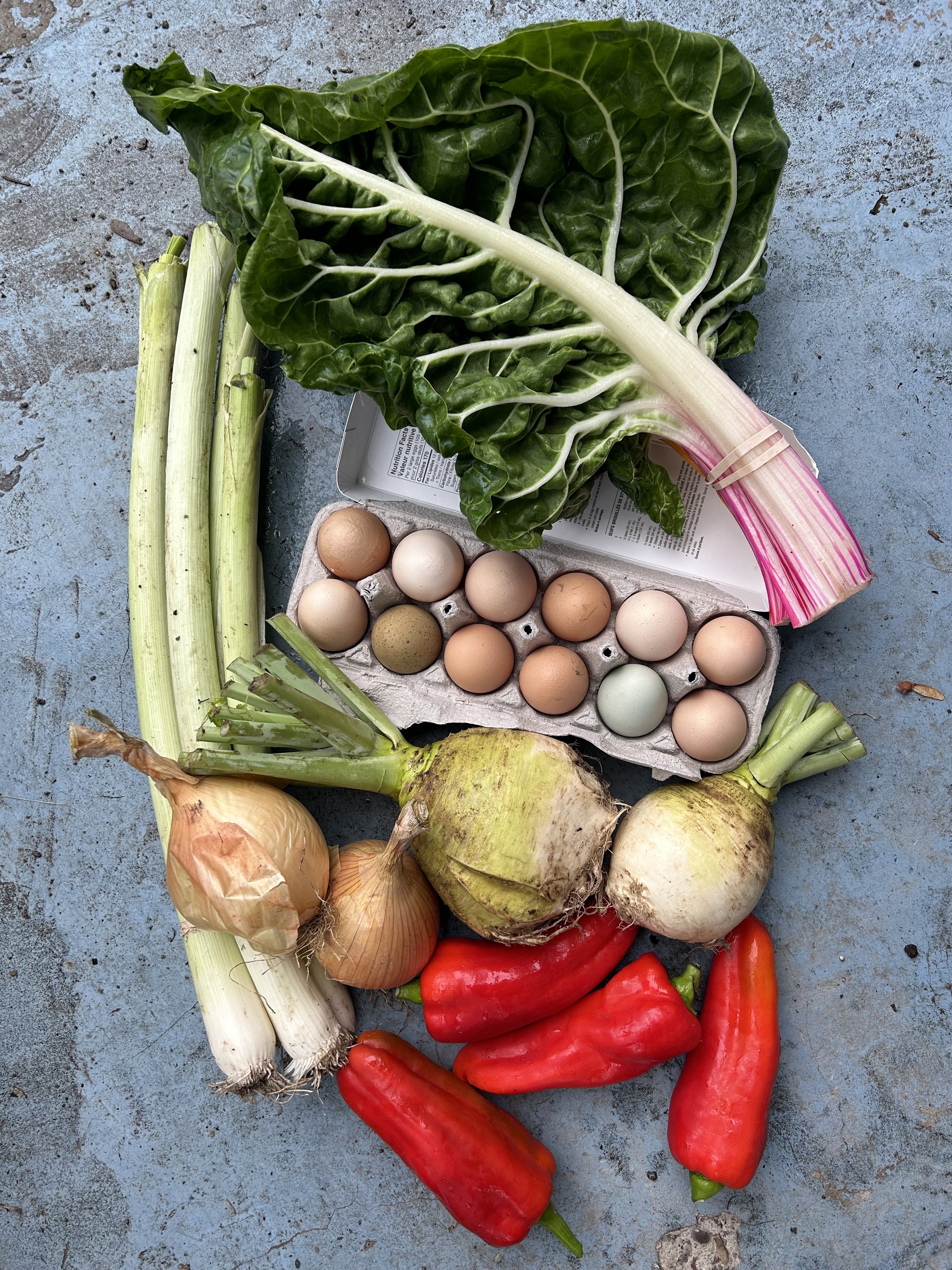 Persephone Period CSA Toronto Drop Point - Nov. 25 - Dec. 30, 2024