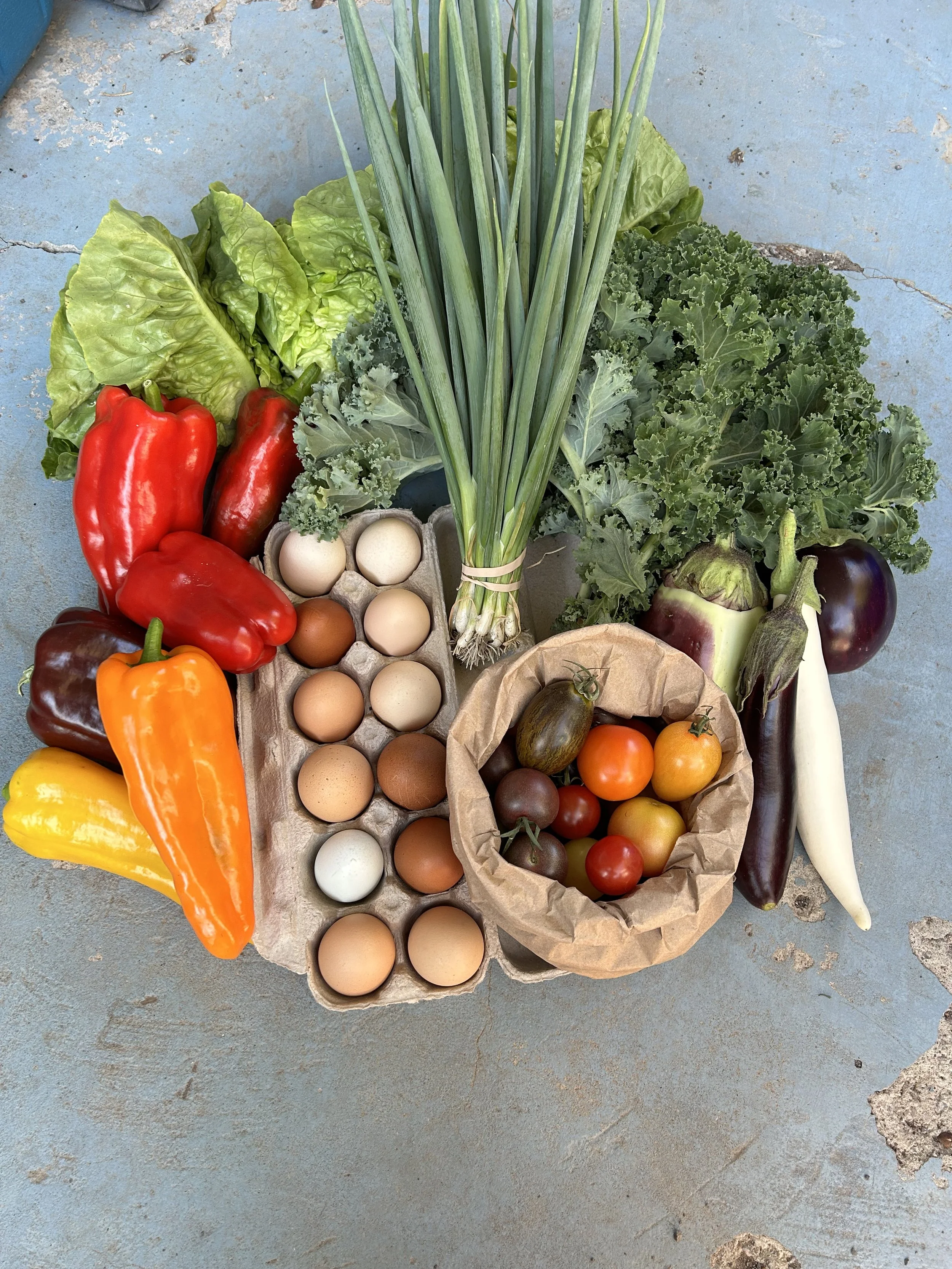 Canned Heat CSA Vegetable Box - June 12 to July 31, 2026 (8 weeks)