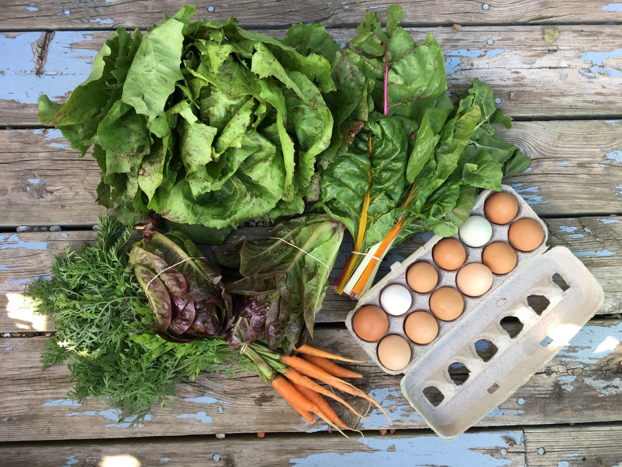 Hunger Gap CSA Vegetable Box - April 10  to May 29, 2026 (8 weeks)