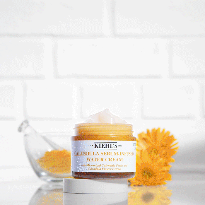 calendula7.gif