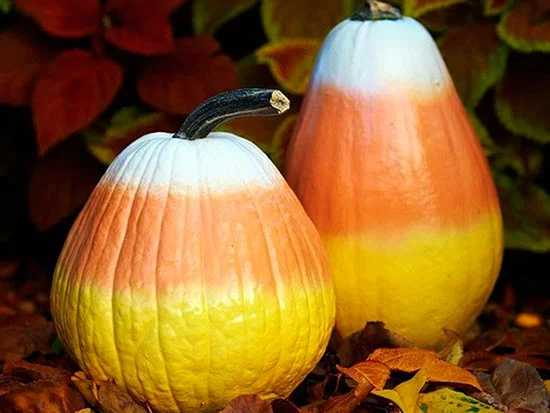 Pumpkin Painting Party — InvitationCelebration.com