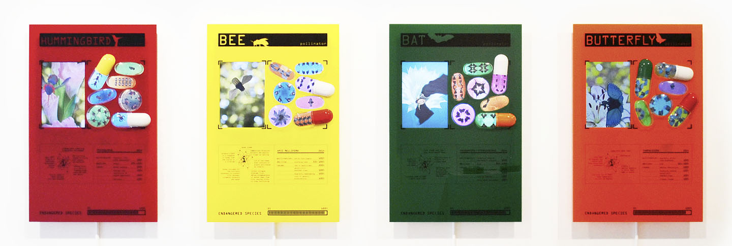 Endangered Species 2014 8-Channel Video composition, 3:30min, looped self-contained video-sculpture; acrylic pills, video screen embedded in colored acrylic cases 23 x 35 x 5 in (58,4 x 88,9 x 12 cm)
