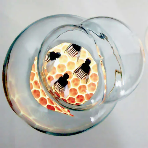 TO WHOM DOES THE AIR BELONG TO?