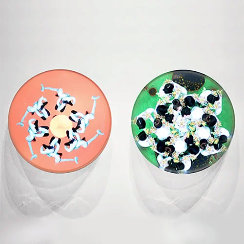 QUESTIONAIRE; PORTAL 1-6