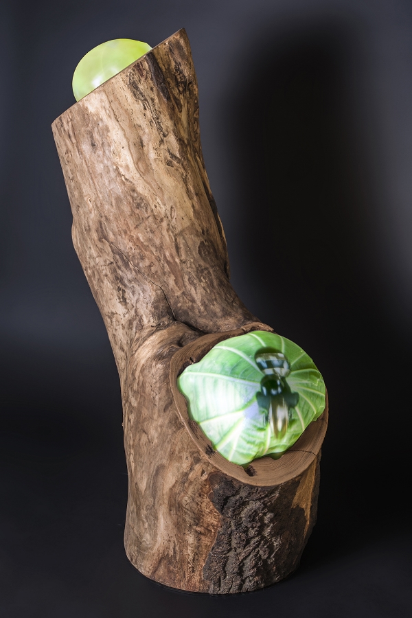 What will replace the green when it's all disappeared? 2015 Gray Elm Tree stump with 3 video-bubbles 3-channel video-composition with sound, 9:30 min, looped video projectors embedded in found tree stump, on/ off switch and sound control 59 x 33.4 x 33.4 in / 150 x 85 x 85 cm/ Image courtesy of Timur York