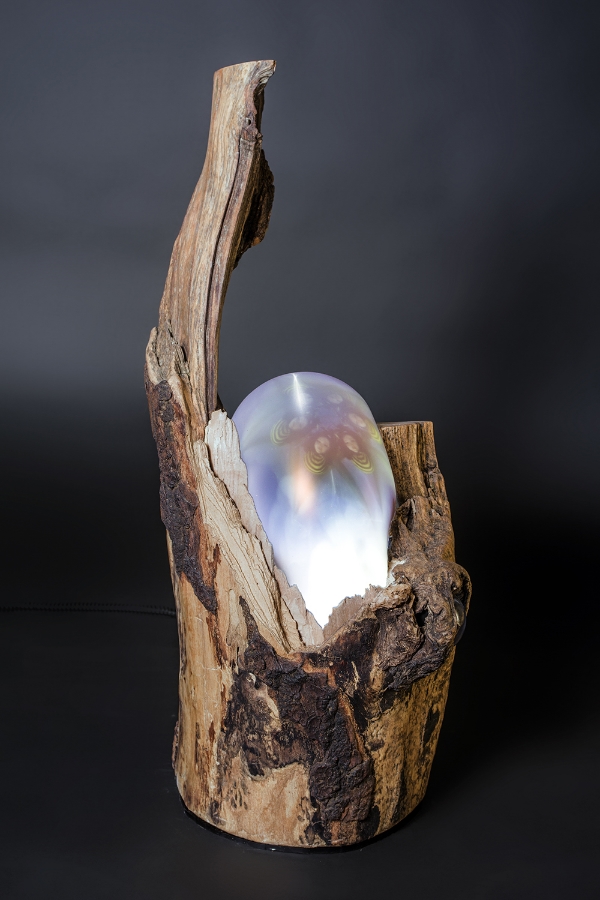 Why do clouds cry so much when the forest becomes a void? 2015 Gray Elm Tree stump with 2 video-bubbles 2-channel video-composition with sound, 9:20 min, looped video projectors embedded in found tree stump, on/ off switch and sound control 13.7 x 15.7 x 31.5 in / 35 x 40 x 80 cm Image courtesy of Timur York