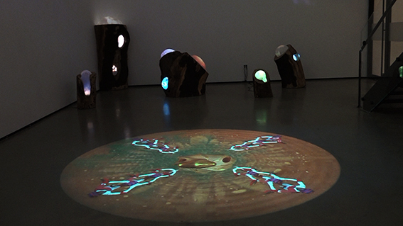 Can we hear the healers call? , 2016 Floor projection Video circle 7:30min, looped Satellite with video-projector, media-player Variable size
