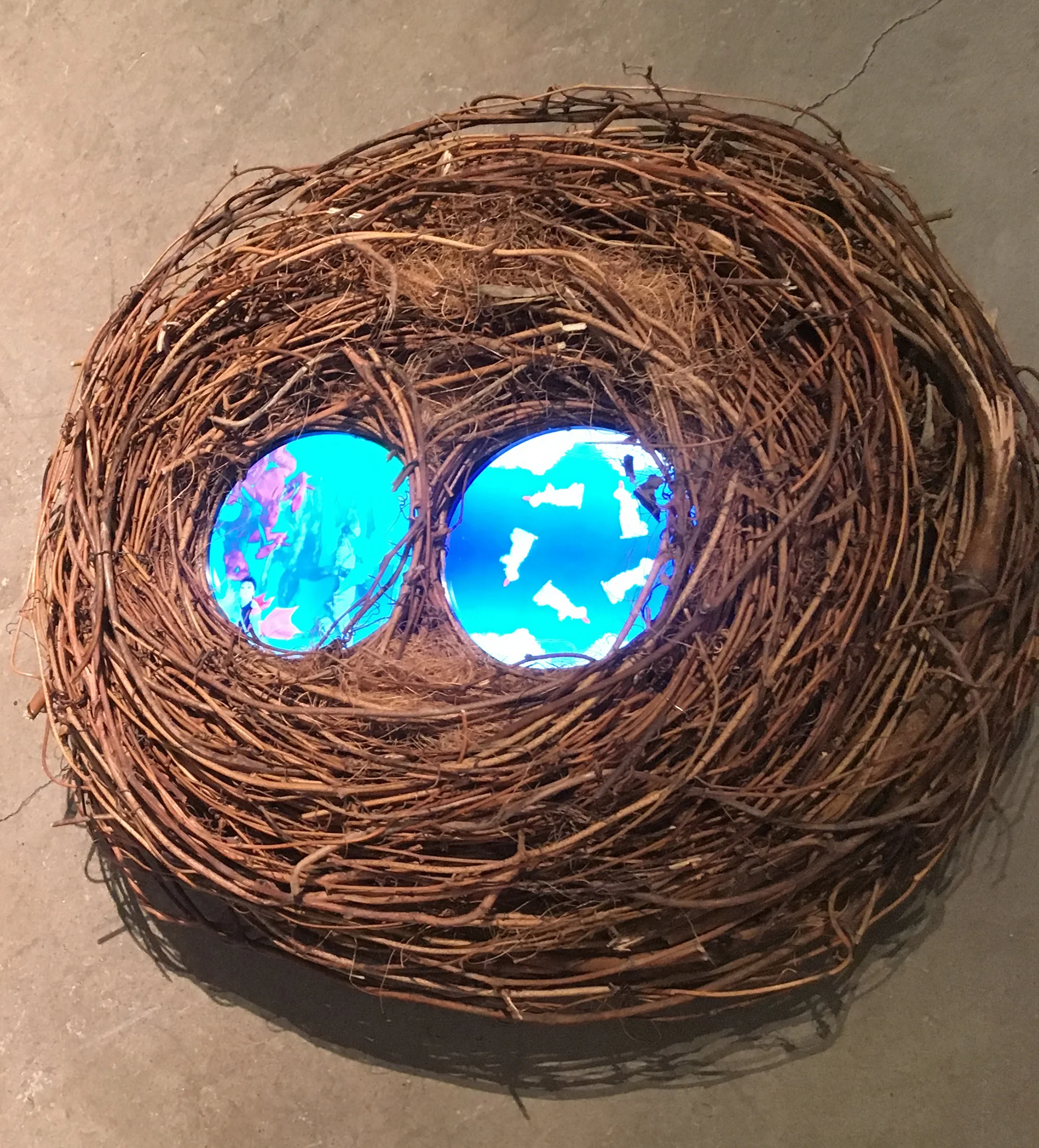 The trembling of a leaf or the movement of the universe? 2017 2-Channel video with sound, 7:20min, looped Video screen embedded in bird’s nest Rechargeable batteries On/off switch and sound control 7 x 16 x 18 in. / 18 x 40 x 46 cm Edition: unique