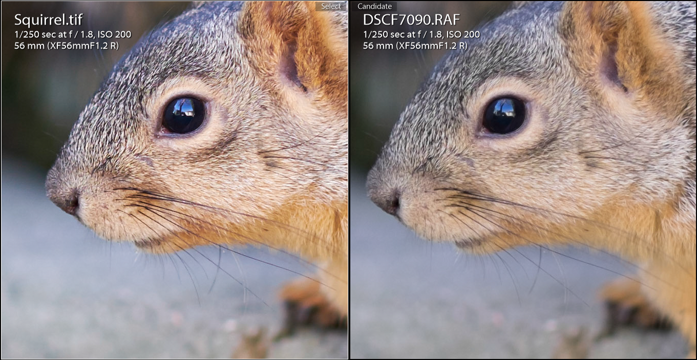 capture one pro vs lightroom capture one pro vs lightroom