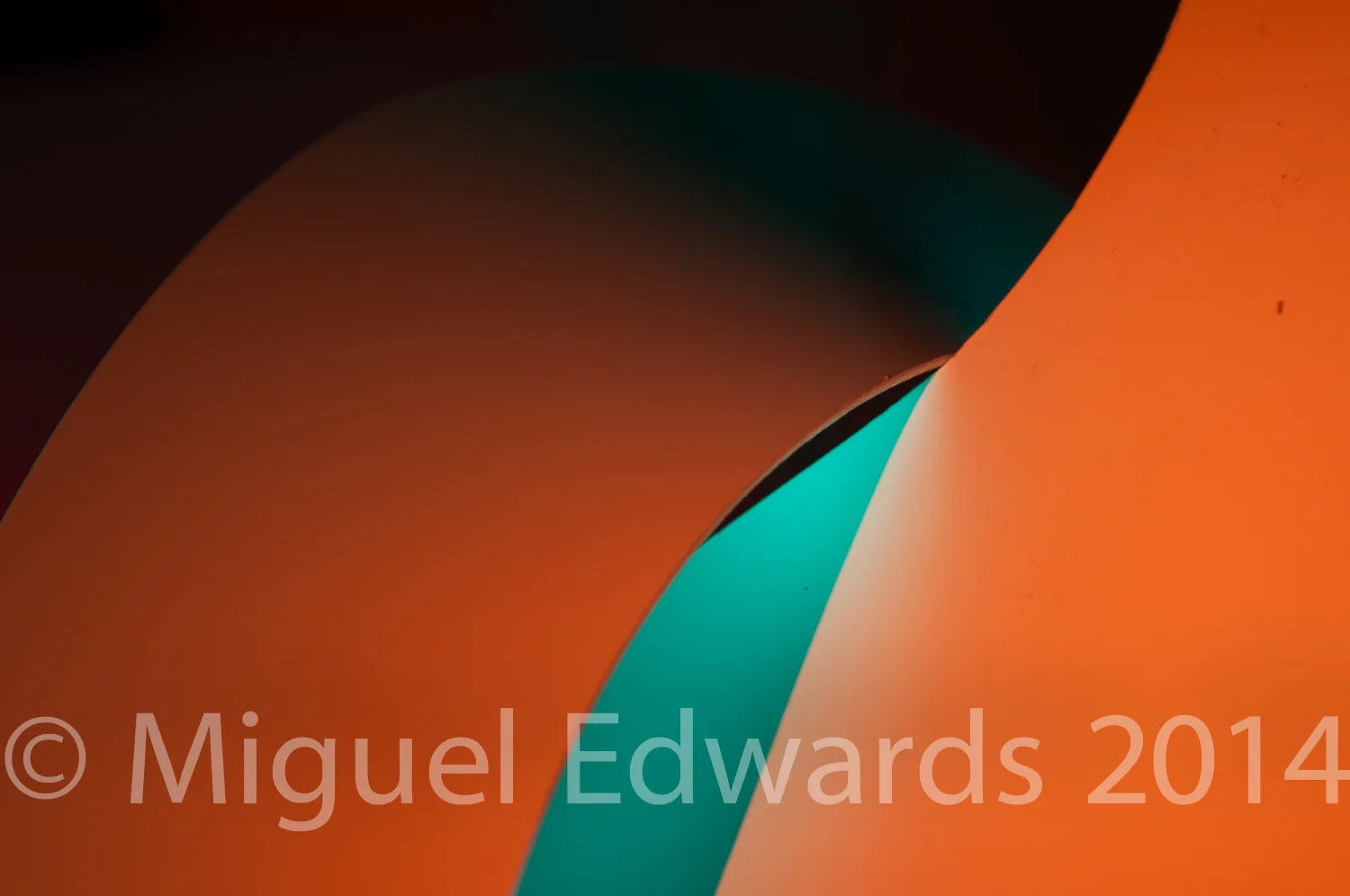 Miguel Edwards-1116.jpg