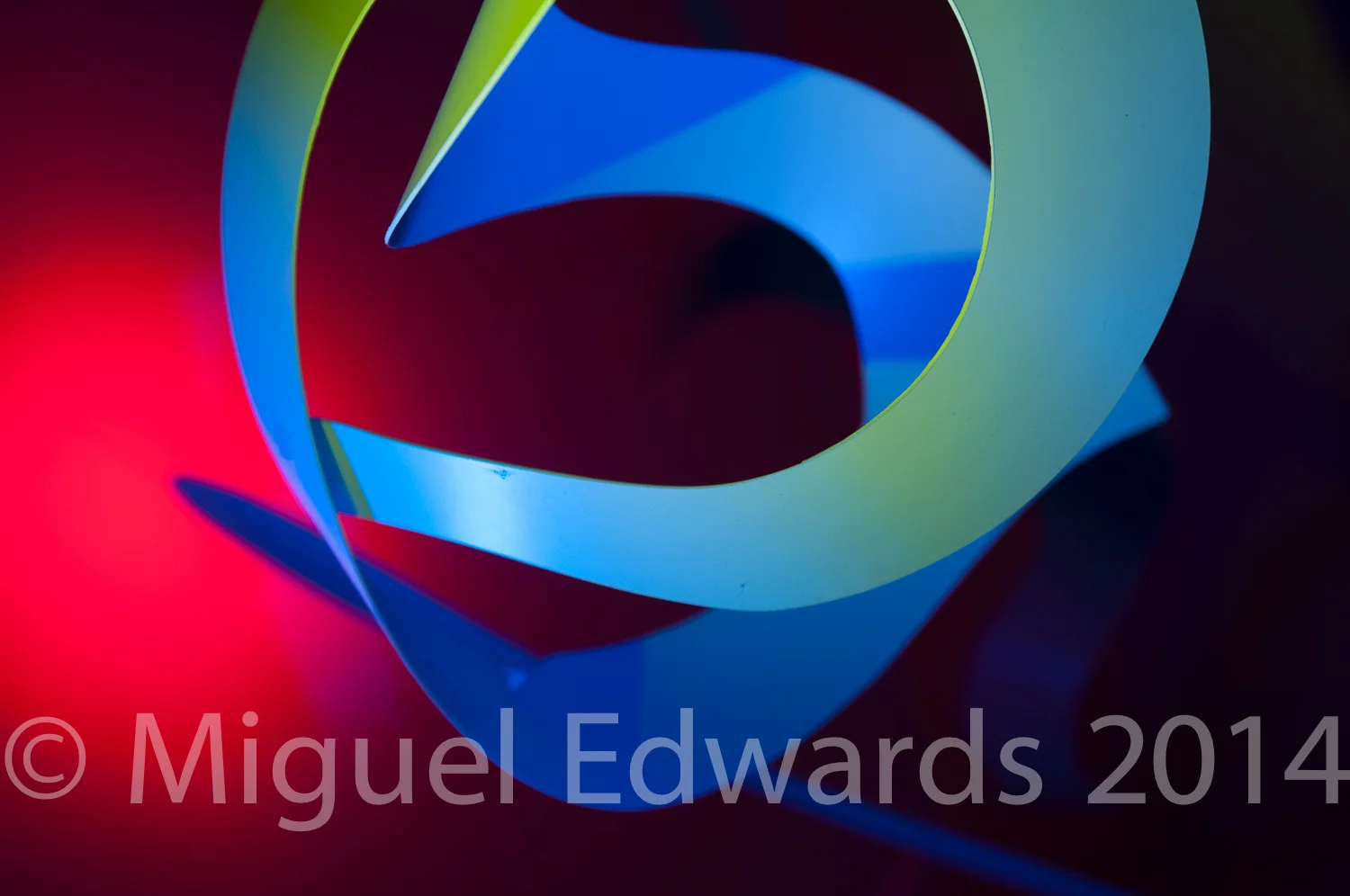 Miguel Edwards-1357.jpg