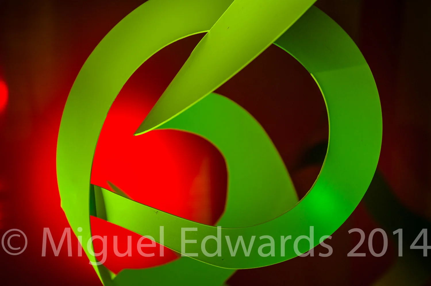 Miguel Edwards-1371.jpg