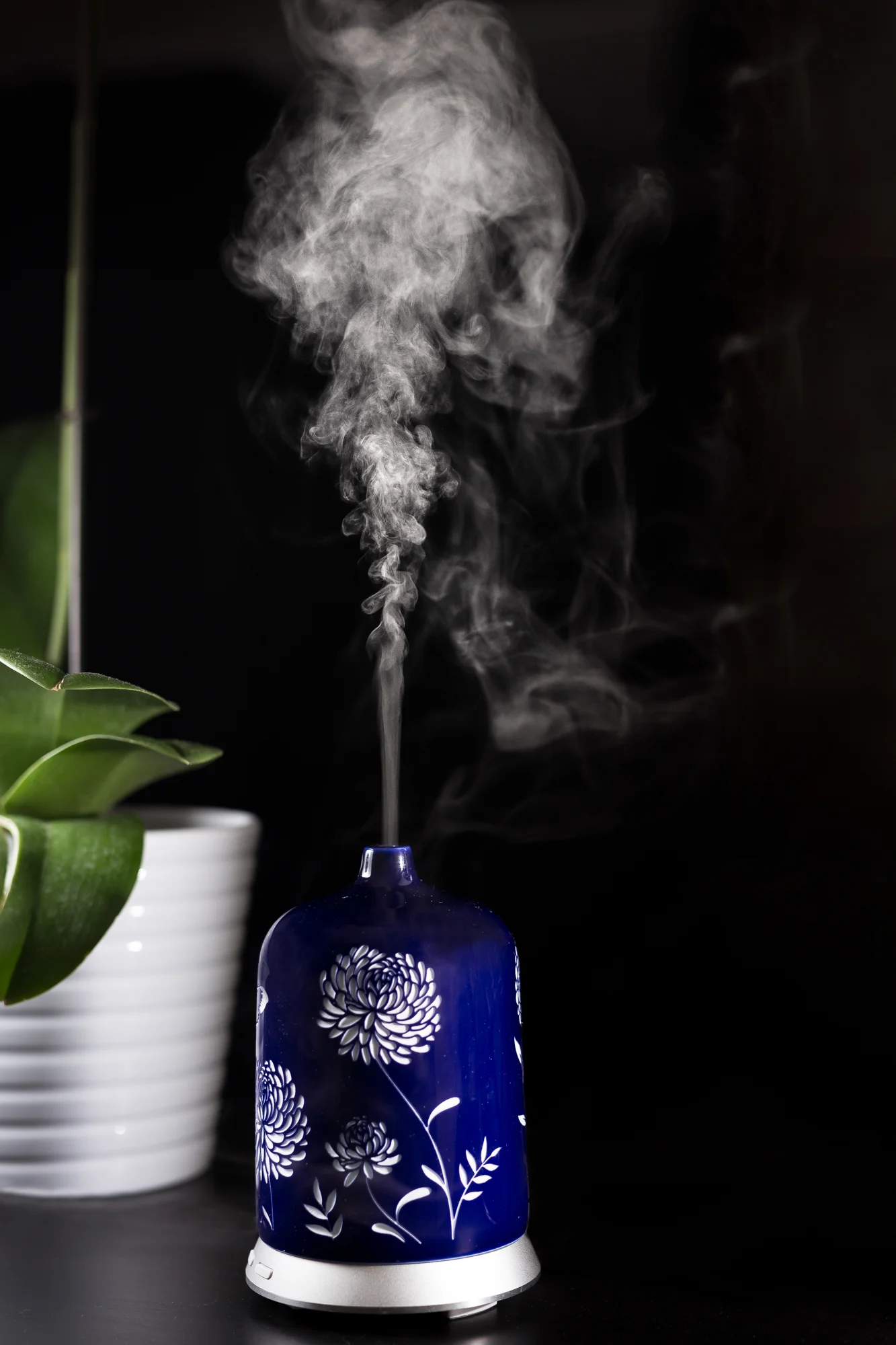 Photo by Alina555/iStock / Getty Images