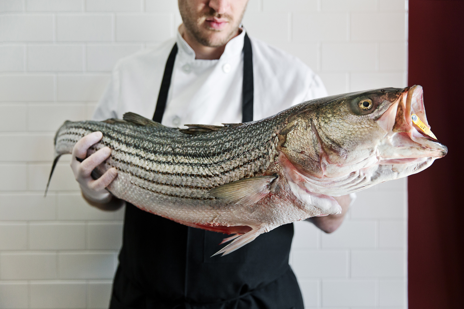 McCall's Meat and Fish Co.